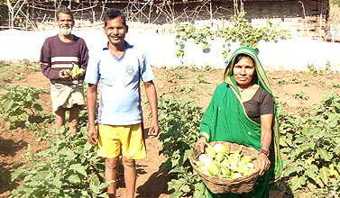 Sinkibai with her sweet fruits of hard labour