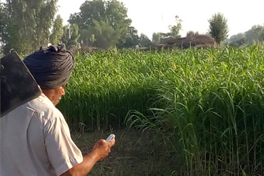 Gurtej Singh on his agricultural land with his cellphone