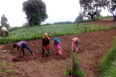 Himmotthan Pariyojana, empowering women to be self-reliant