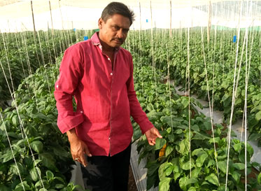Diversion-based irrigation system in Sonambe village of Maharashtra