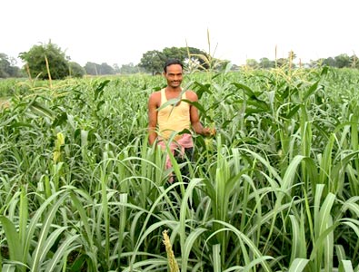 Villagers in Odisha have shown keenness in learning improved practices of farming