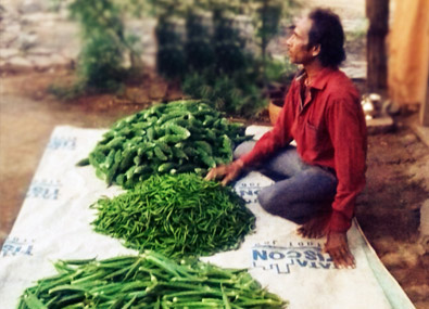 Senapaty ensuring a prosperous future for his family with his farm’s produce