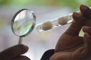 India's Malaria Elimination Strateg Digital Health, AAMs and Genetic Innovation 