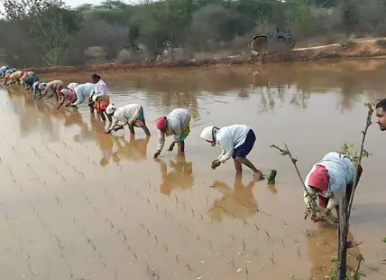 Weaving the Tapestry of Transformation