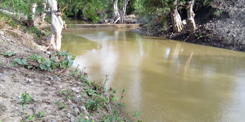 The Jarur Hiwardhara Nullah is now a perennial stream after renovation of bunds and other restoration activities