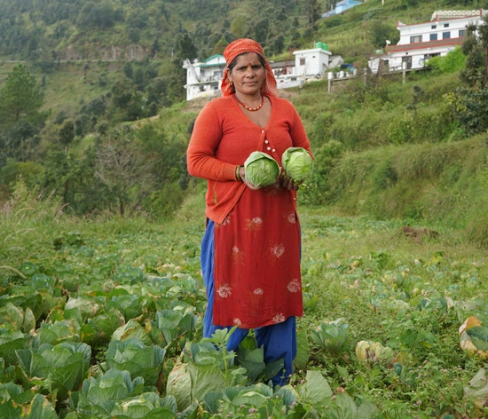 Reena Devi with her cabbage harvest in Jadipani, Uttarakhand
