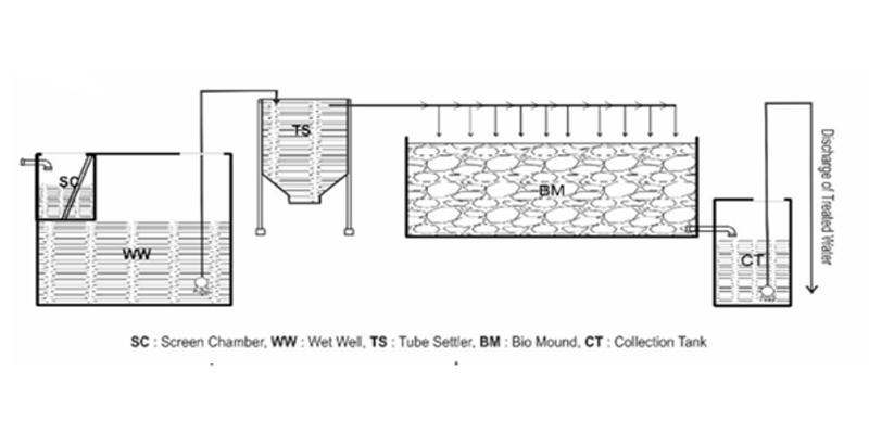 Schematic diagram of the CAMuS-SBT at Laxmipuram