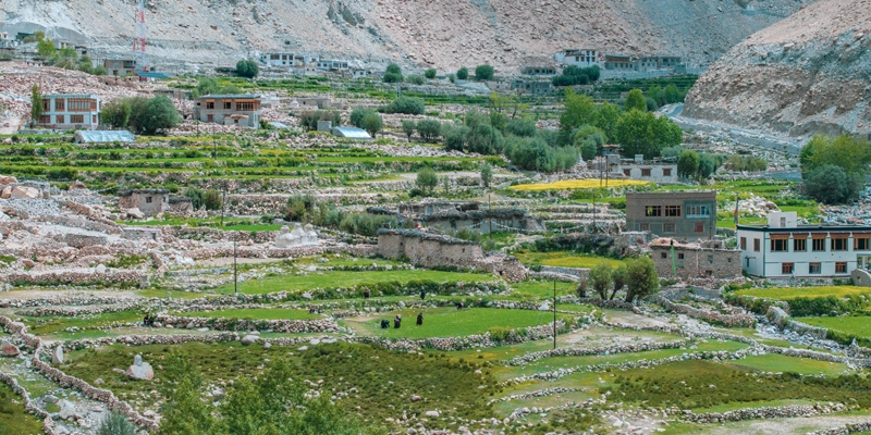 View of Kungyam village in the Rong valley of Ladakh