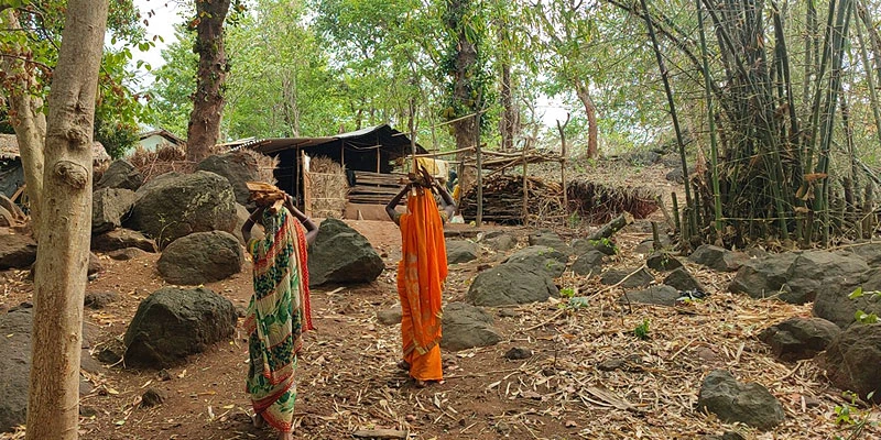 Rekha Devi with her sister-in-law, carrying firewood back home 