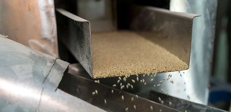 The Trusts provide overarching support which begins at the early stages of rice production.