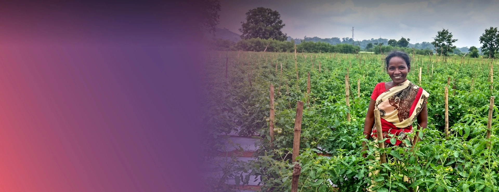 A Holistic Approach To Community Welfare