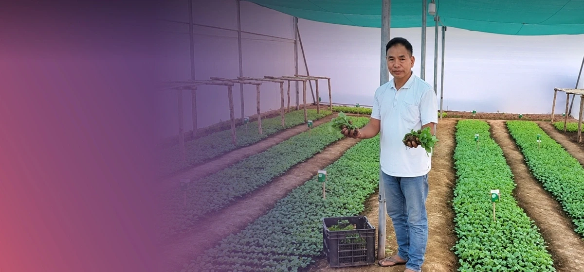 Seedlings Of Change