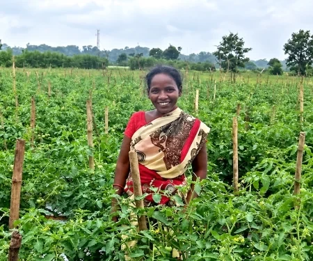 A Holistic Approach To Community Welfare