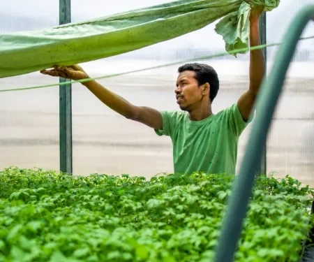Seeding Change In Nagri's Farming Landscape: Rajendra Tudu's Story